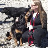 Robin Rootes Maker Picture