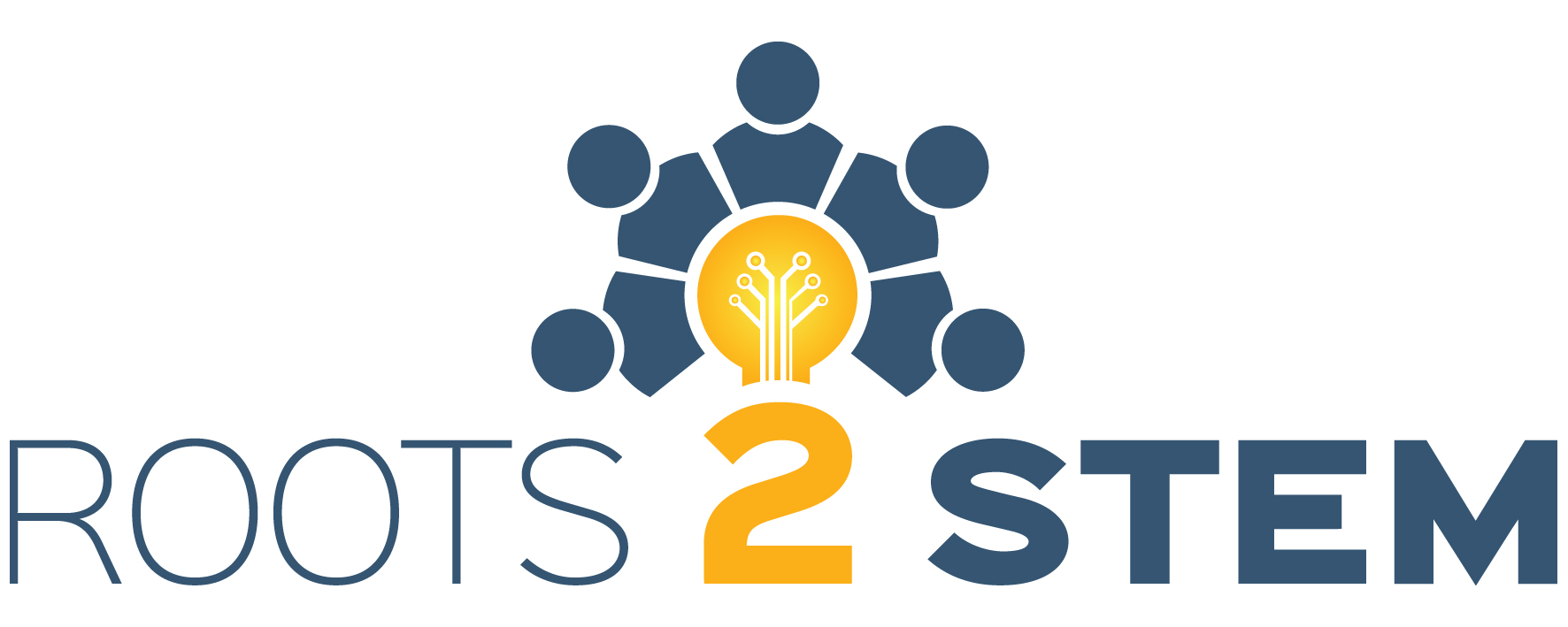 Roots 2 STEM project image